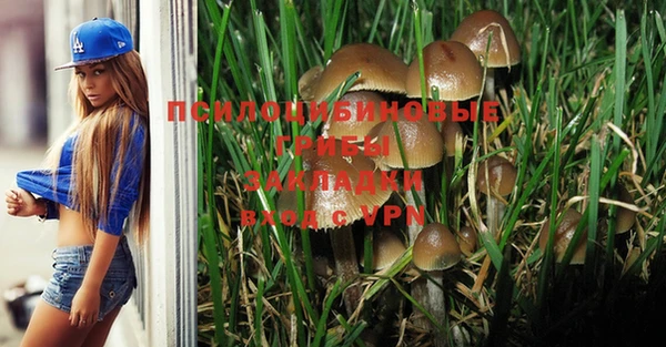 МДПВ Балахна